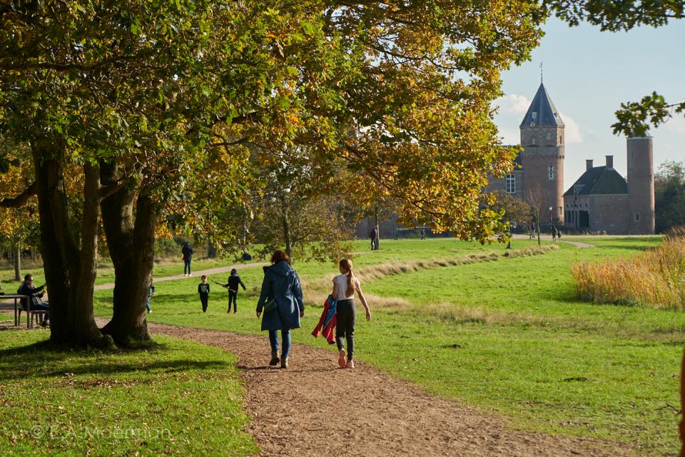 bos bij kasteel Westhove
